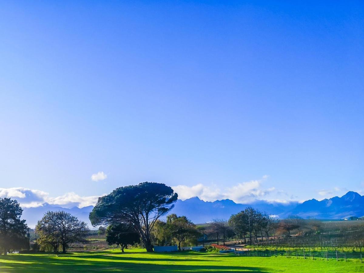 401 Rozendal Cottages Stellenbosch Eksteriør billede